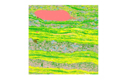 礦物定量分析系統(tǒng)MLA