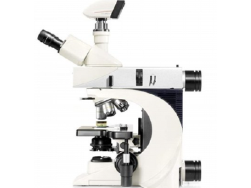 原位（電化學）顯微鏡