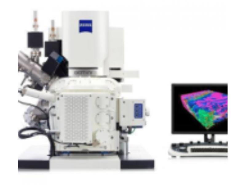 原位掃描電子顯微鏡（in-situ-SEM）